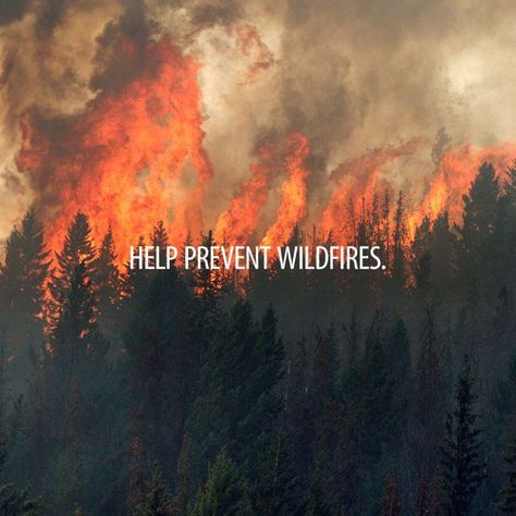 BC Wildfire Service @BCGovFireInfo On average 42% of BC wildfires are human-caused with 59% sparked by people last year. Be responsible and report wildfires to 1-800 663-5555 or *5555 on your cell. Art Design Poster, Wild Fire, Climate Crisis, Fire Art, Be Responsible, Poster Design, Art Design, Graphic Design, Human