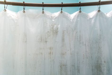 How to Clean Your Shower Curtain and Liner Wash Shower Curtain, Clean Shower, Mildew Stains, Plastic Curtains, Plastic Shower Curtain, Gallery Ideas, Cleaning Curtains, Vinegar Cleaning, Mold Remover