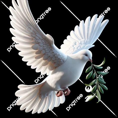 Dove Olive Branch, Dove With Olive Branch, Dove Tattoo Design, Dove Images, Peace Bird, Spiritual Pictures, Dove Pictures, Wedding Background Images, Worship Art