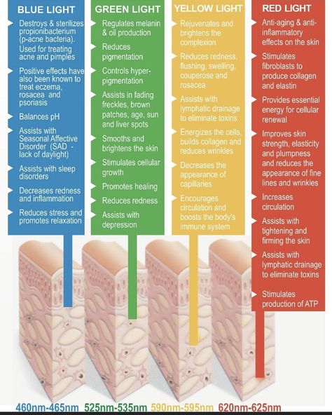 Lipo Cavitation, Led Light Therapy Skin, Light Therapy Skin, Skin Anatomy, Skin Facts, Skin Aesthetics, Led Therapy, Skin Science, Beauty Therapy