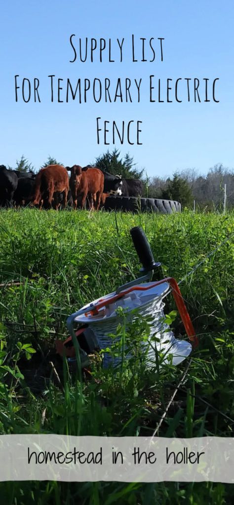 Movable Fence, Electric Fence For Cattle, Pet Sanctuary, Homesteading Hacks, Preparedness Ideas, Livestock Fence, Yard Animals, Pasture Fencing, Electric Fencing