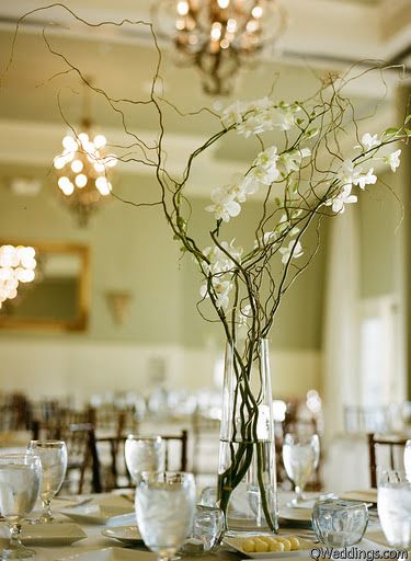 willow branches & white orchid centerpiece Curly Willow Centerpieces, White Orchid Centerpiece, Branch Centerpieces, Orchid Centerpieces, Curly Willow, Austin Texas Wedding, Tall Centerpieces, Pretty Tables, Wedding Arrangements