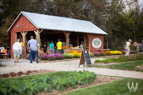 Sustainable Communities, Farmers Market Display, Community Ideas, Produce Stand, Vegetable Stand, Intentional Community, Farm Business, Future Farms, Farm Store