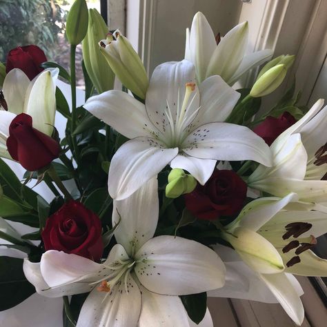 Red Rose + White Alstroemeria Flowers: Sarahsflowers Instagram: @kaitlyn_bird_ White Alstroemeria, Red Rose, Red Roses, Style Inspiration, Plants, Flowers, Red, White, Instagram