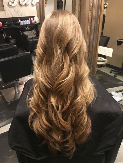 Low Ponytails, Vacation Hairstyles, Honey Blonde Hair, Blonde Hair Inspiration, Blonde Hair Looks, Hair Stylies, Hair Inspo Color, American Beauty, Aesthetic Hair