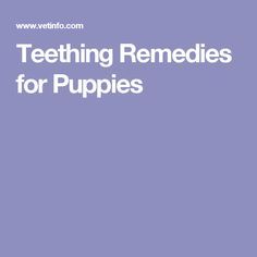 Teething Remedies for Puppies Pet Remedies, Teething Remedies, Canine Tooth, Dog Teeth Cleaning, Dog Dental Care, Dog Dental, Periodontal Disease, Dental Problems, Root Canal