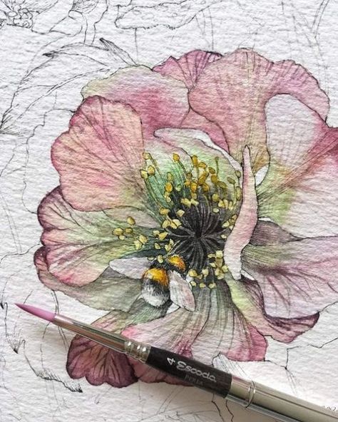 Instagram Illustration, Watercolour Inspiration, Watercolor Painting Techniques, Watercolor Flower Art, 수채화 그림, Watercolor Art Lessons, Watercolor Paintings Tutorials, Watercolor Flowers Paintings, Botanical Painting