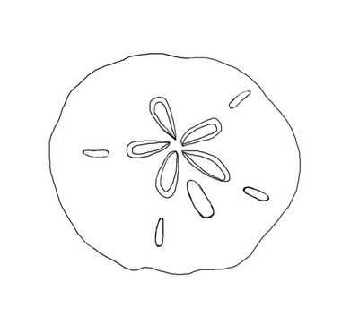 sand dollar Sand Dollar Drawing Simple, How To Draw A Sand Dollar Step By Step, Pansy Shell Tattoo, Sand Dollar Line Art, Sand Dollar Tattoo Simple, Sandollar Drawing, Sand Dollar Sketch, Tiny Sand Dollar Tattoo, Fine Line Sand Dollar Tattoo