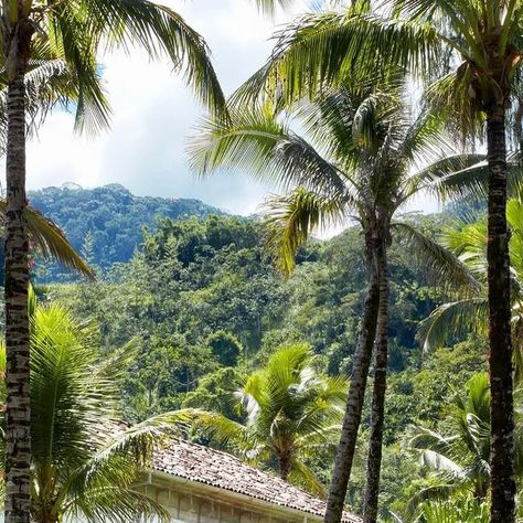 Tropitecture on Instagram: "Lenny Kravitz's Brazilian Farm Compound🌴 What do you think about this renovated 18th-century House in Brazil?🔥 📐Design by @kravitz_design 📸 @simonuptonphotos via @archdigest ⠀⠀⠀⠀⠀⠀⠀⠀⠀ Here at @tropitecture we provide you the best about the tropics. Whether tropical stays or tropical architecture, our main goal is to show the beauty of the tropics. Follow @tropitecture so you don't miss a thing 🔥 If you want to have even more insights into the tropics, visit our w Farm Compound, Reset Your Life, 18th Century House, Brazilian Coffee, Personal Retreat, London Dreams, Tropical Architecture, Lenny Kravitz, Perfect Harmony