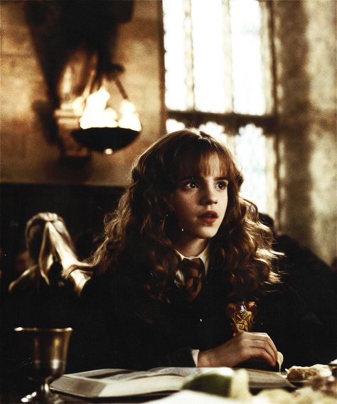 Hermione Granger Aesthetic, Comfort Movie, The Chamber Of Secrets, Harry Potter Hermione Granger, Harry Potter Icons, Harry Potter And The Chamber Of Secrets, Hogwarts Aesthetic, Chamber Of Secrets, Harry Potter Hermione