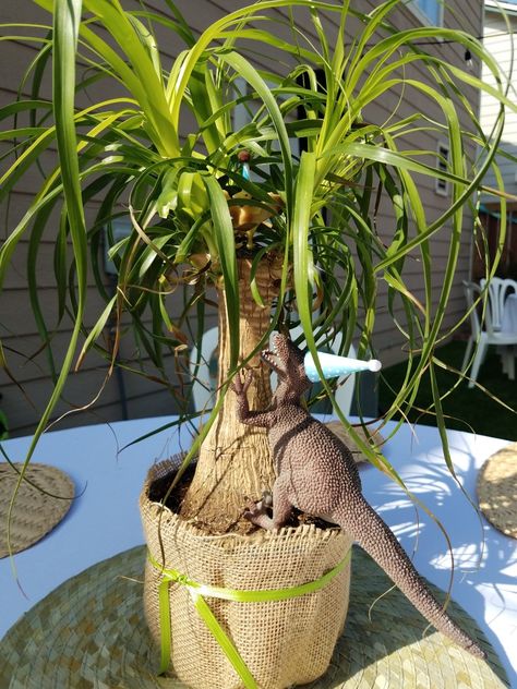 Jurassic Park Table Centerpieces, Jurassic Park Party Centerpieces, Dinasour Centerpiece Ideas, Dinosaur Theme Centerpieces, Jurassic Park Centerpieces, Dinosaur Table Centerpiece, Dino Centerpiece, Dinosaur Centerpieces Ideas, Dinosaur Centerpieces