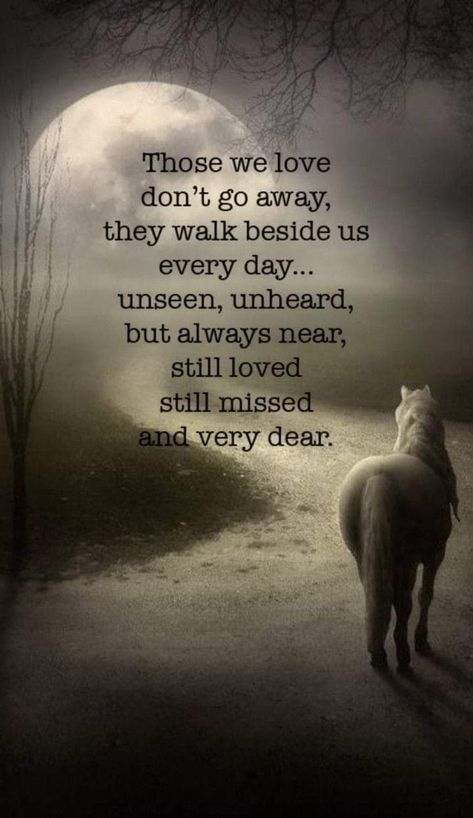 The Art Of Letting Go, Keeping Faith, Inspirational Horse Quotes, Equestrian Quotes, Art Of Letting Go, Sympathy Quotes, Horse Quotes, Memories Quotes, Animal Quotes