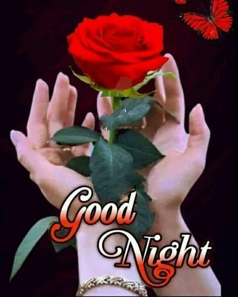 Very Good Morning Images, Corazones Gif, Good Night I Love You, Good Morning Flowers Rose, Beautiful Good Night Images, Beautiful Eyes Pics, Hindi Good Morning Quotes, Good Morning Roses, Good Morning Beautiful Flowers