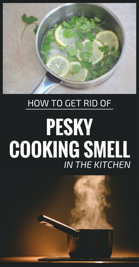 Deodorize House, Rotten Food, Burnt Food, House Smell Good, Healthy Happy Life, Kitchen Smells, How To Cook Fish, House Smell, House Smells