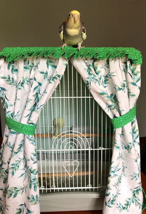 Gnome Animals, Diy Birdcage, Canary Cage, Parakeet Care, Diy Bird Cage, Cage Decor, Diy Bird Toys, Small Bird Cage, Parakeet Cage