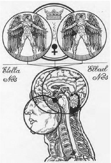 Thule Society, Vivid Dream, Alchemy Art, Magick Symbols, The Audacity, The Human Mind, Occult Symbols, Witches Altar, Legends And Myths