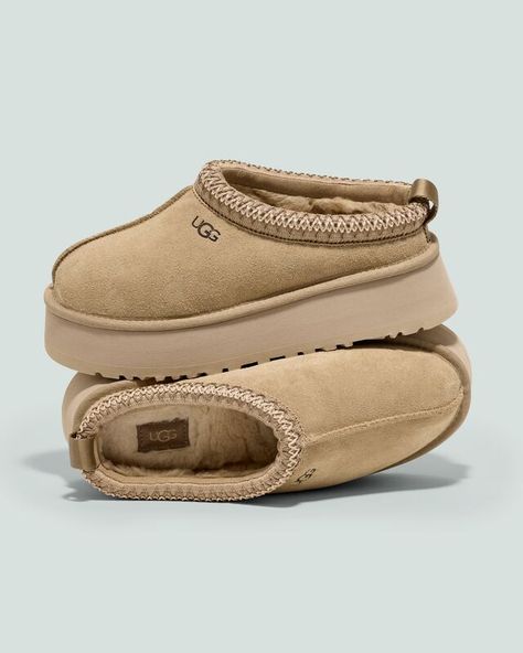 Shop Tazz Mustard Seed Platform Tasman Uggs, Ugg Care Kit, Cute Uggs, Ugg Tasman Slippers, Ugg Women, Ugg Mini, Ugg Tasman, Work Shoe, Shoe Wishlist