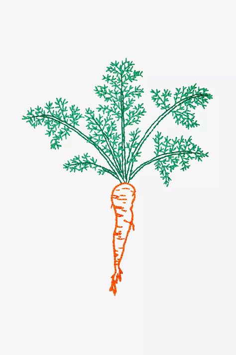 Carrot Embroidery, Theme Nature, Embroidered Napkins, Flamingo Pattern, Types Of Stitches, Cross Stitch Needles, Embroidery Transfers, Embroidery On Clothes, Embroidery Patterns Free