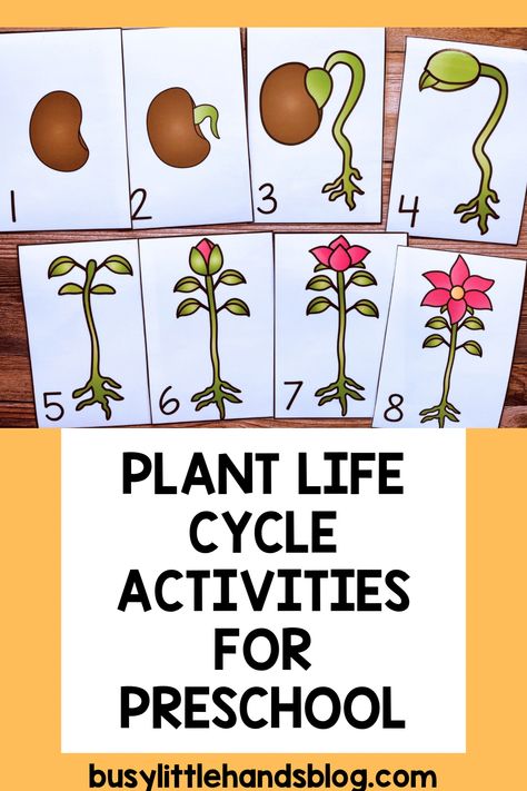 Looking for the perfect plant themed activities for preschoolers? These plant activities and gardening activities for preschoolers are just what you need! With five engaging literacy activities and five math activities included, this unit is perfect for use in preschool literacy and math centers, as well as for whole-group instruction. This spring thematic unit will make planning much easier, with a literacy and math activity for each day of the week. Plants Literacy Activities Preschool, Garden Literacy Activities Preschool, Gardening Activities For Preschoolers, Spring Theme Activities, Plants Life Cycle Activities, Preschool Classroom Setup, Big Bush, Gardening Activities, Literacy Activities Preschool