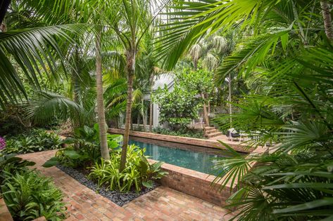 Rhapis humilis (slender lady palm) shields the pool and filters sunlight through its fronds. #gardenista Key West Landscaping, Tropical Pool Landscaping, Curb Appeal Landscape, Tropical Garden Design, Backyard Garden Layout, Tropical Backyard, Backyard Garden Landscape, Tropical Pool, Garden Types