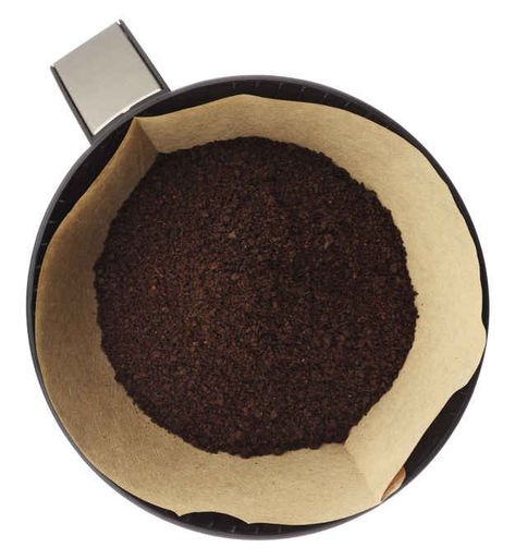 And use leftover coffee grounds to enrich your soil and repel critters. | 30 Insanely Clever Gardening Tricks Leftover Coffee Grounds, Leftover Coffee, Gardening Tricks, Thrifty Thursday, Coffee Filters, Kindergarten Art, Mom Bloggers, Cupcake Liners, Coffee Filter