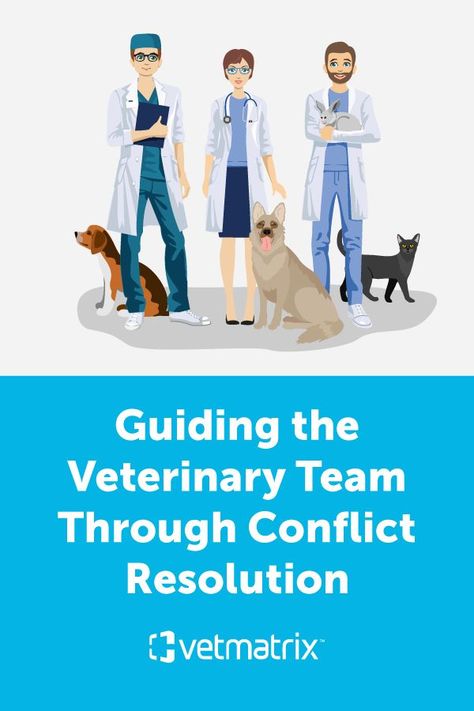 Louise S. Dunn, a veterinary field expert, has partnered with VetMatrix to provide a series of educational blog posts about practice management for veterinarians. Read her second installment to learn the best conflict resolution practices to help your veterinary team improve office efficiency and provide excellent patient care. Practice Management, Veterinary Clinic, Conflict Resolution, Management Tips, Veterinarian, Blog Posts, Resolution, Education, Reading