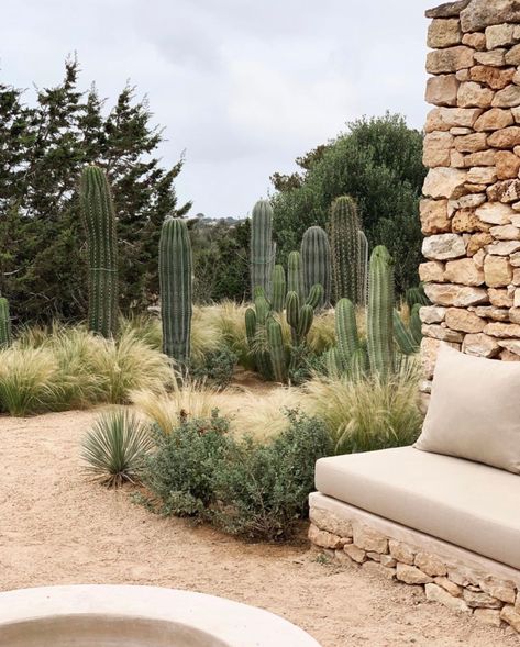 Luciano Giubbilei - Formentera Luciano Giubbilei, Mediterranean Backyard, Mediterranean Landscape Design, Landscaping Trees, Landscaping Images, Mediterranean Landscaping, Dry Garden, Garden Images, Landscaping Supplies