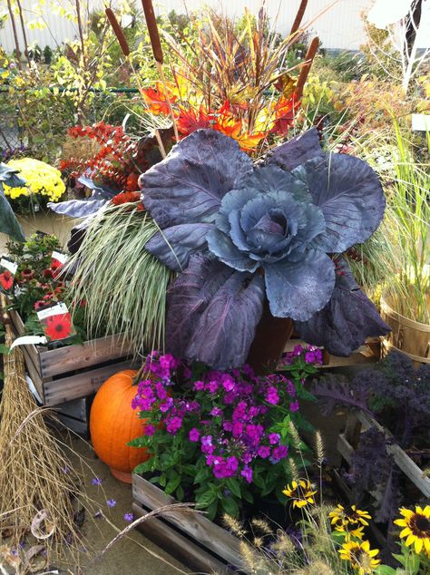 Beautiful fall #containergardening seen at Wanamaker's Garden Center in Downers Grove, IL Fall Potted Plants, Fall Urn, Fall Flower Pots, Fall Container Plants, Fall Pots, Outdoor Planter Ideas, Fall Container Gardens, Winter Planter, Fall Containers