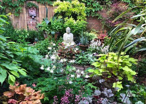 Shady Backyard Ideas, Plants For Small Gardens, Garden Ideas Uk, Shade Garden Design, Buddha Garden, Small Courtyard Gardens, Small Backyard Gardens, Woodland Garden, Small Garden Design