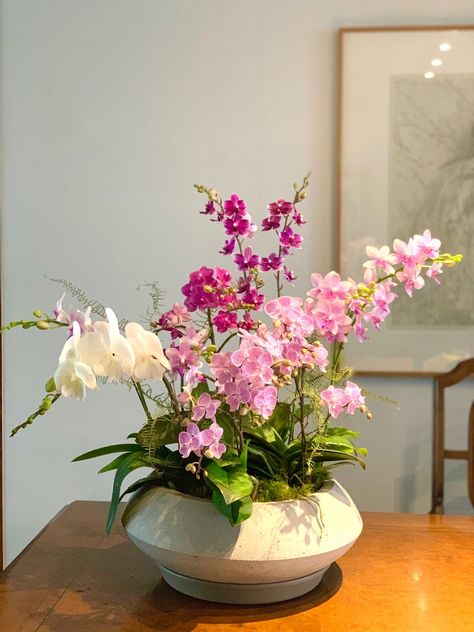 Plants Display Ideas, Orchid Growing, Orchid Flower Arrangements, Home Decor Apartment, Boquette Flowers, Orchids Garden, Flower Vase Arrangements, Orchid Arrangements, Nothing But Flowers