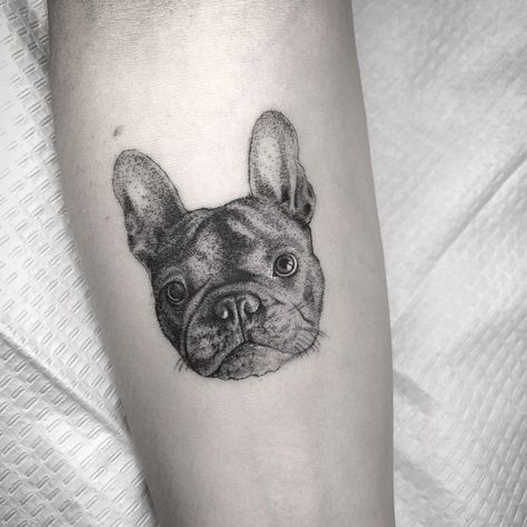 Realistic Dog Tattoo, Puppy Tattoo, French Bulldog Tattoo, Bulldog Tattoo, Tattoos For Dog Lovers, Tattoo Dog, Adorable Cats, Book Tattoo, Dog Tattoo