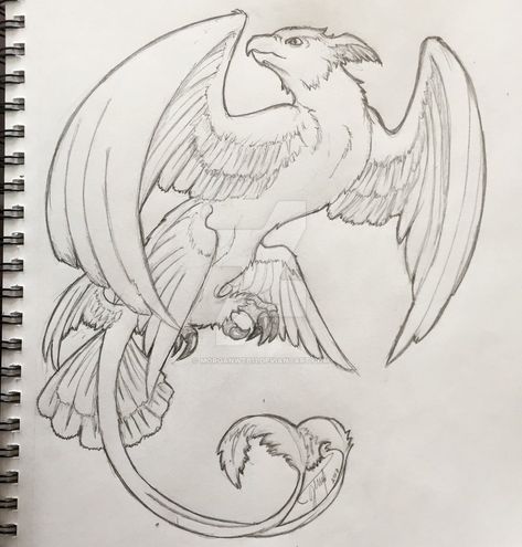 Thunderbird Sketch, Thunderbird Drawing, Fantastic Beasts Thunderbird, Thunderbird Art, Human Creatures, Unicorn Wings, Going On An Adventure, Mythical Birds, Drawing Things