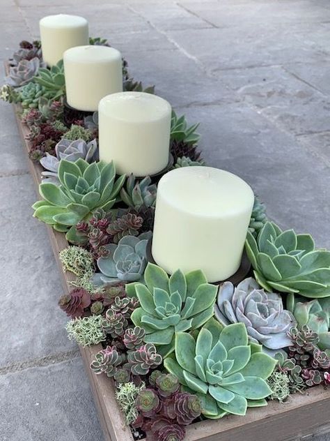 Succulent Candle Centerpiece, Succulent Candle, Succulent Wedding Centerpieces, Succulents Candles, Candle Centerpiece, Succulent Garden Design, Succulent Centerpieces, Succulent Garden Diy, Succulents Decor