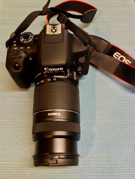 My camera , Canon T6i with 75-300mm lens 300mm Lens Photography, Canon 75-300mm Lens Photos, Canon Camera Photography, Camera Lenses Canon, Camera Canon, Canon Lens, Canon Camera, Photojournalism, Cute Couple Pictures