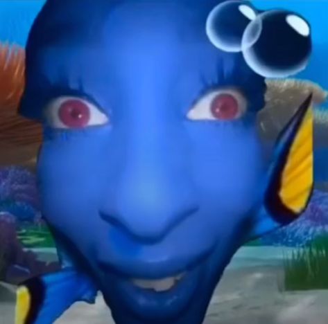 Dory Memes, Funny Profile, Funny Profile Pictures, Silly Pictures, Funny Reaction Pictures, Oui Oui, Instagram Funny, Doja Cat, Really Funny Pictures