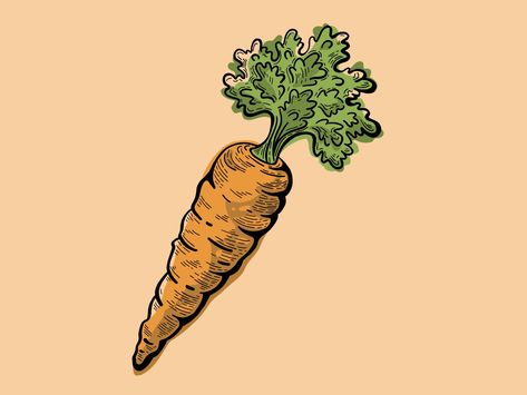 Carrots Illustration, Carrot Illustration, Carrot Drawing, Carrot Art, Diy Cookbook, Carrot Flowers, Rug Tufting, Vegetable Illustration, Purple Carrot