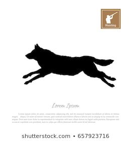 Black silhouette of a running wolf on a white background. Forest animals. Vector illustration Wolf Black And White, Animals Vector Illustration, Running Images, Background Forest, Wolf Running, Wolf Silhouette, Wolf Tattoo, Black Silhouette, Black Wolf