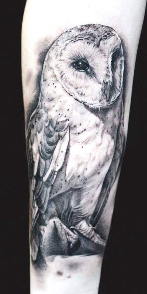 10+ Best White Owl Tattoo Ideas | PetPress Snow Owl Tattoo, An Owl Tattoo, Hedwig Tattoo, White Owl Tattoo, Colorful Owl Tattoo, Owl Tattoo Meaning, Barn Owl Tattoo, Realistic Owl Tattoo, Nature Tattoo Sleeve