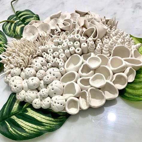 Coral Reef Sculpture, Ocean Pottery, Organic Wall Art, Print Making Designs, Ceramic Coral, Coral Reef Art, Seashell Art Diy, 3d Wall Sculpture, Coral Sculpture