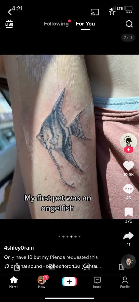 Angel Fish Tattoo, Angelfish Tattoo, Tattoo Add Ons, Fish Tattoo, Angel Fish, Fish Tattoos, Tattoos And Piercings, Tatting, Piercings