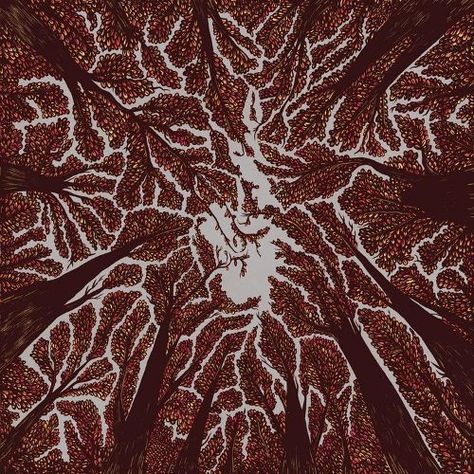 Crown Shyness, Dan Campbell, British Punk, Vinyl Store, Bass Guitarist, Wonder Years, Punk Rock Bands, Lp Vinyl, Cool Things To Buy