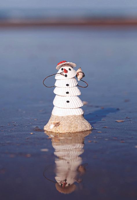 Seashell Snowman, Beach Snowman, Sand Snowman, Seashell Art Diy, Seashell Christmas Ornaments, Seashell Christmas, Noi That, Shell Craft, Honey Bun