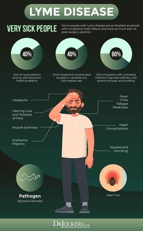 Chronic Lyme Disease: Symptoms, Causes and CoInfections Chronic Lyme, Throbbing Headache, Disease Symptoms, Heart Muscle, Sinus Infection, Migraine Headaches, Chronic Disease, Fitness Advice, Signs And Symptoms