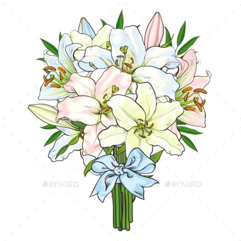 Big bunch, bouquet of lily flowers tied up with light blue ribbon, sketch style, hand drawn vector illustration isolated on white background. Hand-drawn bunch of lily flowers tied up with ribbon Bouquet Of Lily Flowers, Ribbon Sketch, Bunch Of Flowers Drawing, Origami Flower Bouquet, Big White Flowers, Flower Bouquet Drawing, Flower Bouquet Painting, Lilies Drawing, Paper Flower Centerpieces