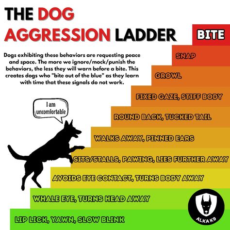 The dog aggression ladder shows different behaviors dogs can offer us to display fear, stress or a want for space. Share with someone who needs to see these!🐾❤️ #alkak9 #dogcommunication #dogbehavior #dogtraining Dog Aggression, Dog Communication, Appeasement, Aggressive Dog, Animal Behavior, Positive Reinforcement, Dog Behavior, Dog Trainer, Dog Training Tips