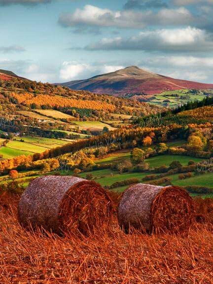 Autumn in Wales Wales Landscape Photography, Sugar Loaf Mountain, Brecon Beacons, British Countryside, Hereford, England And Scotland, Autumn Scenery, Autumn Landscape, Landscape Ideas