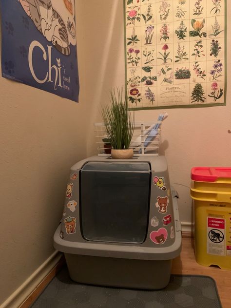 Cat litter box decorated with stickers. Cat litter box but .. AESTHETIC Cat Dorm Room Ideas, Aesthetic Cat Room Ideas, Pet Area In Apartment, Cute Cat Litter Boxes, Cat Setup In Bedroom, Cat Litter Box Aesthetic, Cat Litter Set Up, Diy Cat Litter Box Ideas Hidden, Kitty Litter Box Ideas