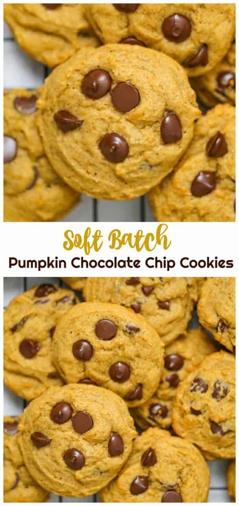 Soft Batch Pumpkin Chocolate Chip Cookies {Eggless too!} #eggless #chocolate chip #pumpkin #soft batch #baking #cookies #fall Pancake Protein, Soft Pumpkin Chocolate Chip Cookies, Cookies Thanksgiving, Eggless Chocolate Chip Cookies, Mini Burger, Thanksgiving Cookies, Pumpkin Chocolate Chip Cookies, Pumpkin Chocolate Chip, Pumpkin Chocolate Chips