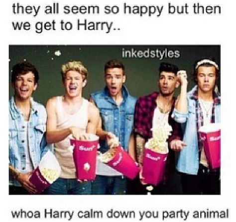 calm down curly!! xD One Direction 2014, One Direction Louis, Fun Walk, Midnight Memories, Les Paul Custom, Let Her Go, One Direction Pictures, 1d And 5sos, I Love One Direction