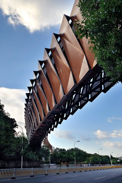 Steel Bridge Design, Walking Bridge Design, Steel Bridge Structure, Pedestrian Bridge Architecture, Bridge Design Architecture, Screens Architecture, Pedestrian Bridge Design, Forest Walkway, Cantilever Architecture